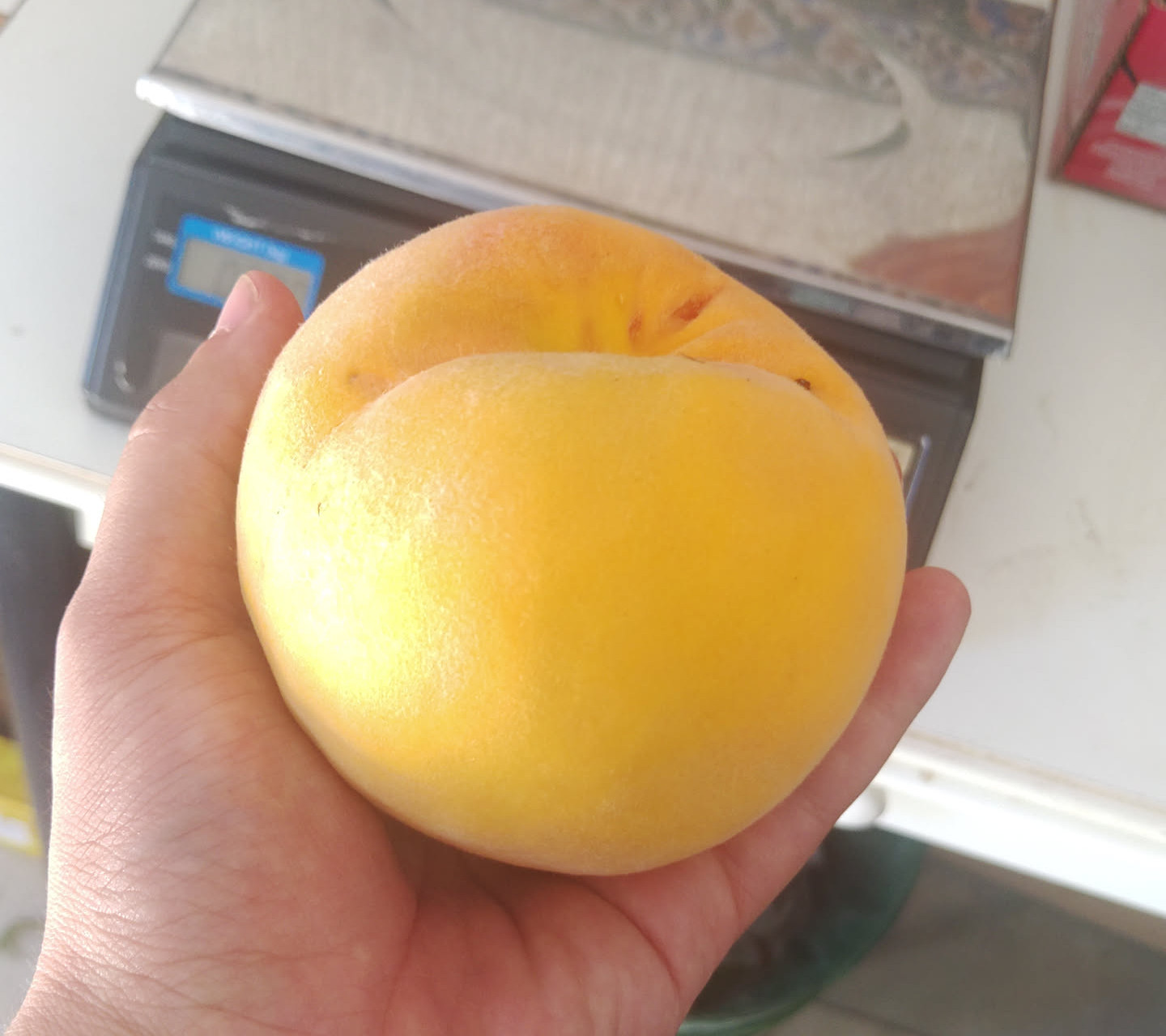 Melocotón Prémium
